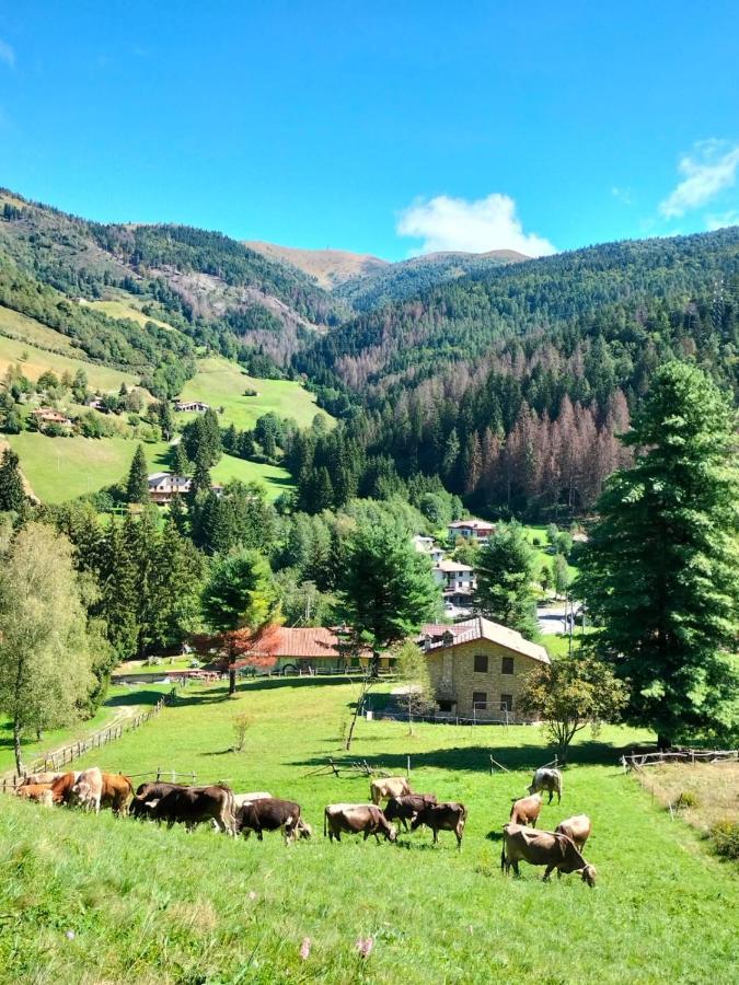 Casa Vacanza Pieve Pisogne Bagian luar foto